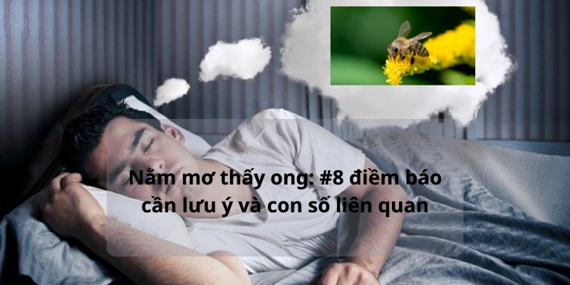 Nằm mơ thấy ong: #8 điềm báo cần lưu ý và con số liên quan